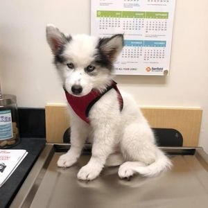 Meet your Posher, Lynn